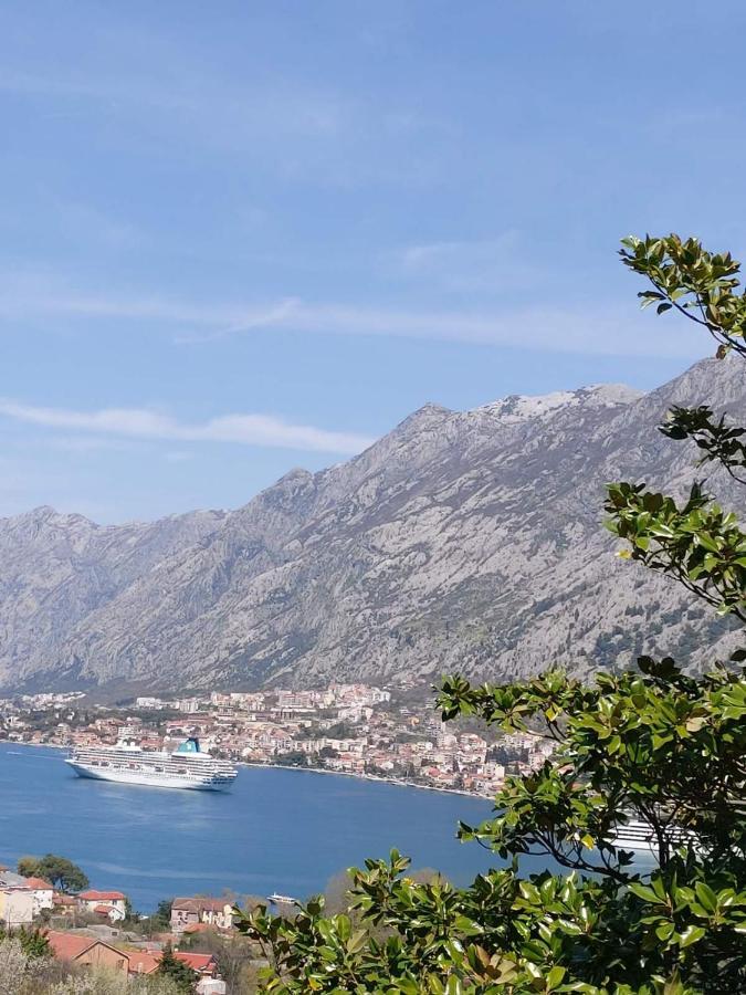 Casa Vecchia Villa Kotor Ngoại thất bức ảnh