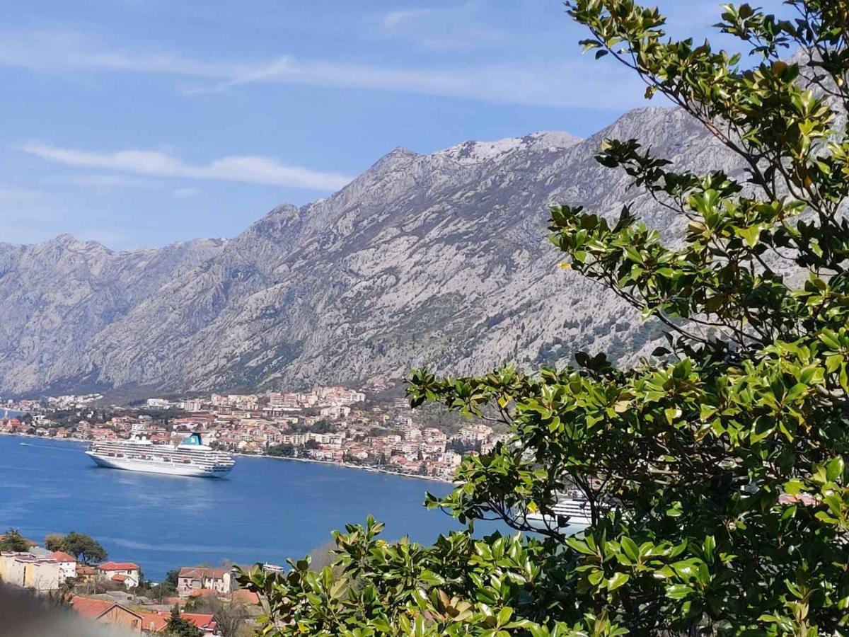 Casa Vecchia Villa Kotor Ngoại thất bức ảnh